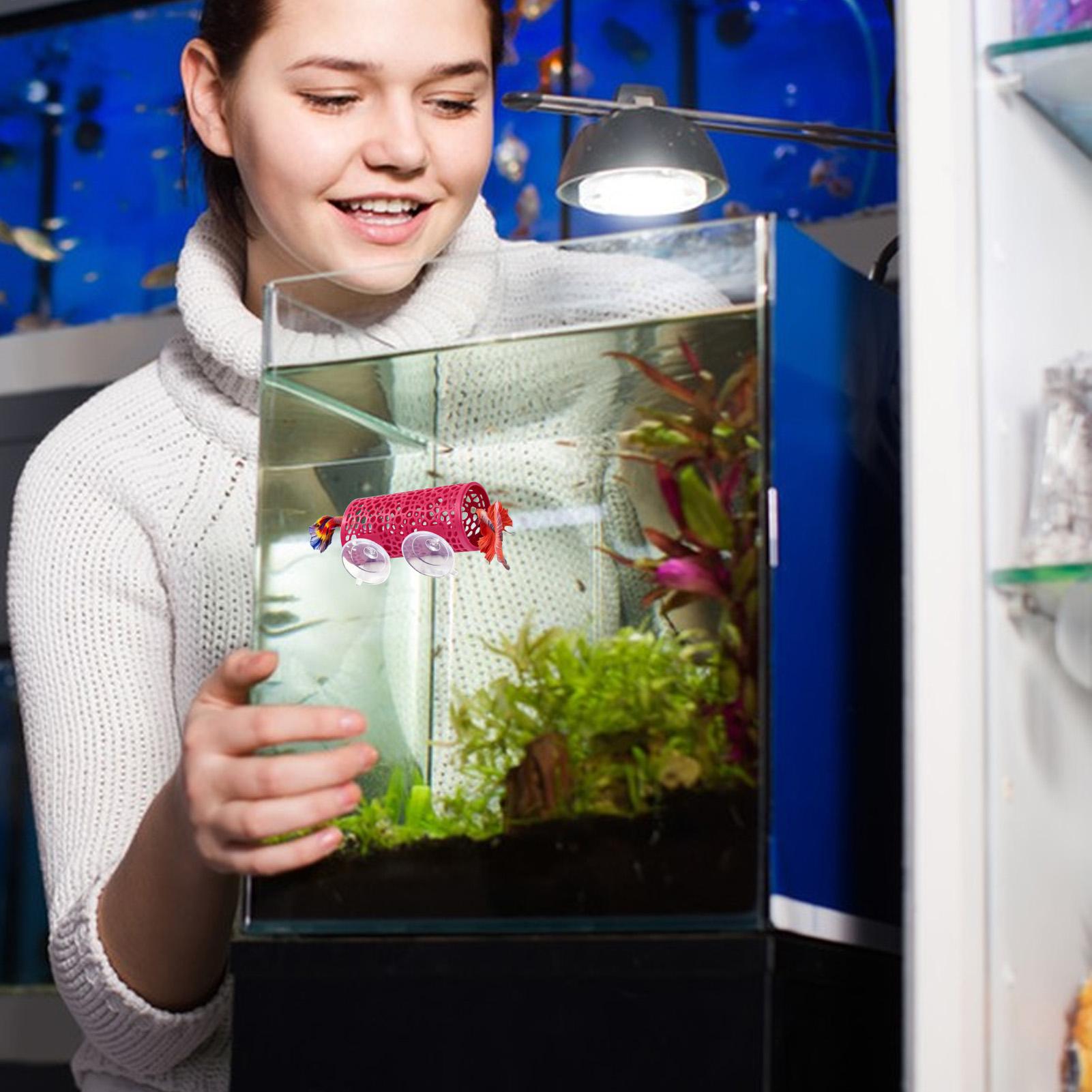 Fish Toys For Aquarium - ที่พักพิงตกแต่งตู้ปลา ของเล่นอุโมงค์ปลา สำหรับตู้ปลา แบบติดตั้งด้วยจุ๊บสุญญากาศ ท่อขนาดเล็ก ปลอดภัย