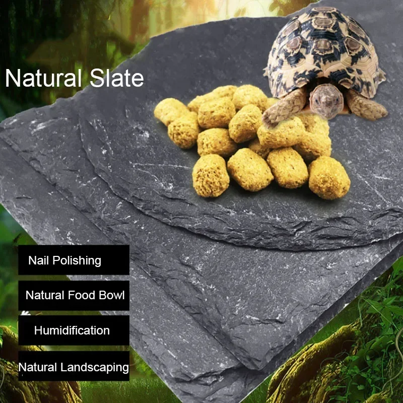 Aquarium Fish Food - ชามอาหารสัตว์เลี้ยงสัตว์เลื้อยคลานหินชนวนธรรมชาติกาน้ำอาหารประเภทสัตว์เลื้อยคลานเต่าแมงป่อง