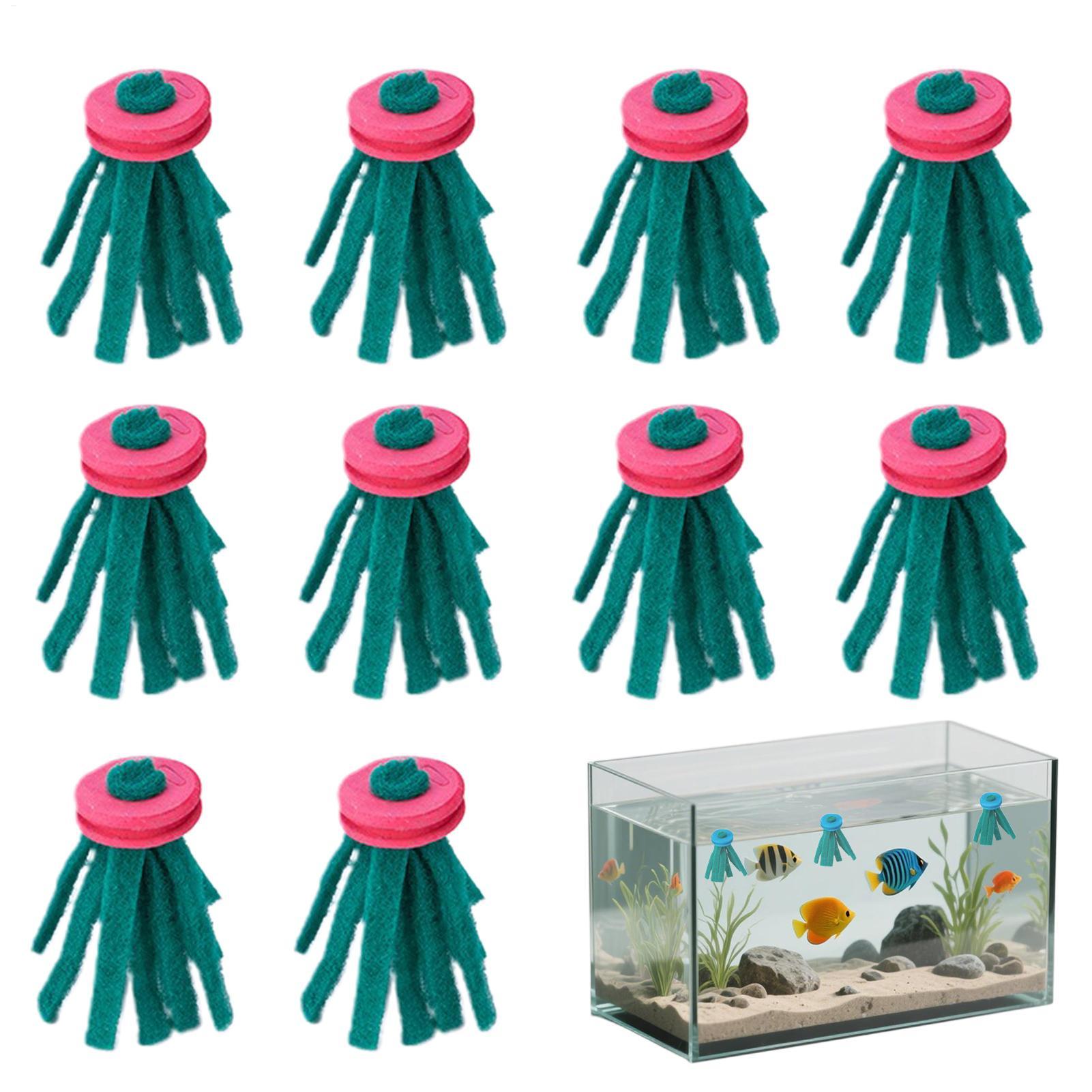 Aquarium Fish Food - ที่เก็บไข่ปลาเบต้าแบบลอยน้ำ 10 ชิ้น สำหรับตกแต่งตู้ปลา ใช้เป็นที่หลบซ่อน ที่พักผ่อน