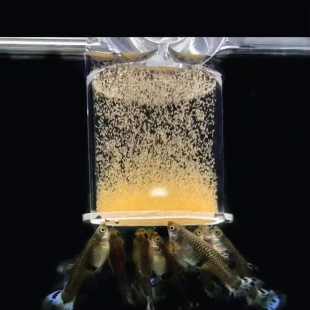 Aquarium Fish Eggs - ถ้วยให้อาหารกุ้งน้ำเค็มอะคริลิกแบบจุดคงที่ โปร่งใส สำหรับตู้ปลา พร้อมจุกดูดและวงแหวนลอยน้ำที่ทนทาน