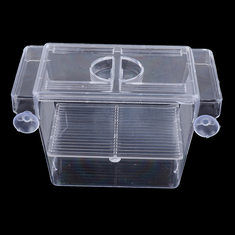 Aquarium Fish Eggs - พิพิธภัณฑ์สัตว์น้ํา ตู้ปลา Guppy Double Breeding Breeder
