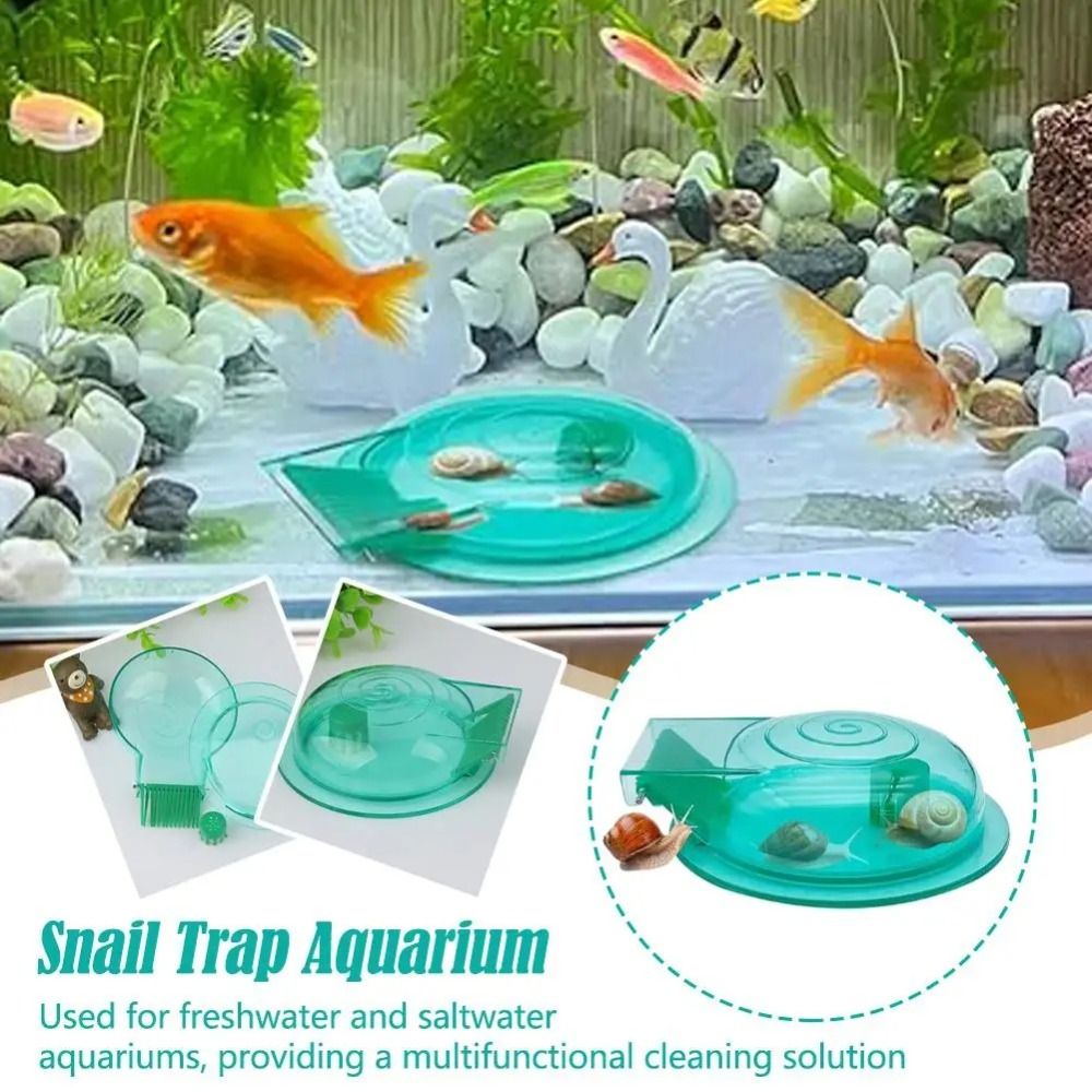 Aquarium Fish Eggs - กับดักหอยทากในตู้ปลา น้ำจืด น้ำเค็ม ใช้งานได้หลากหลาย จับหอยทากได้อย่างมีประสิทธิภาพ ทนทาน