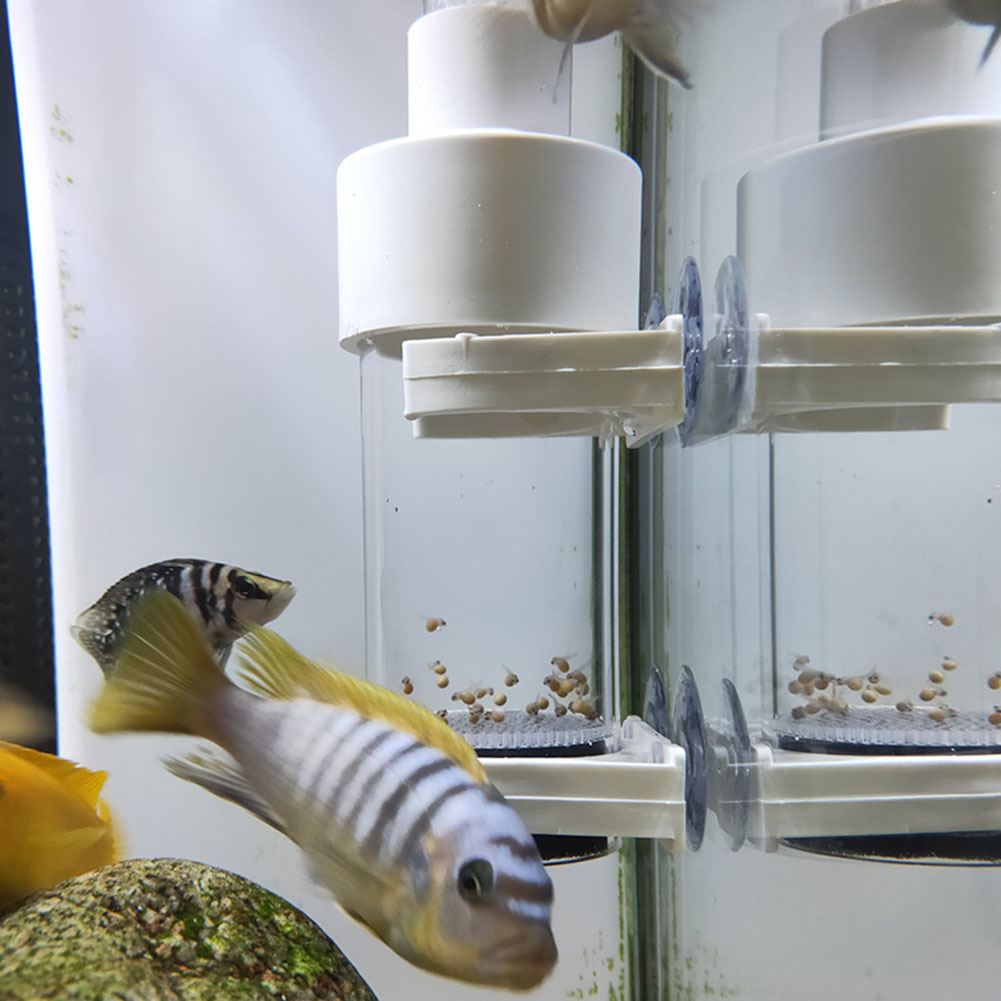 Aquarium Fish Eggs - ตู้ฟักไข่ปลาซิกลิดขนาด 40 มม. สำหรับฟักไข่โดยไม่ต้องใช้ปาก ตู้ฟักไข่ปลาแบบหมุน สำหรับการเพาะเลี้ยงปลาในตู้ปลา
