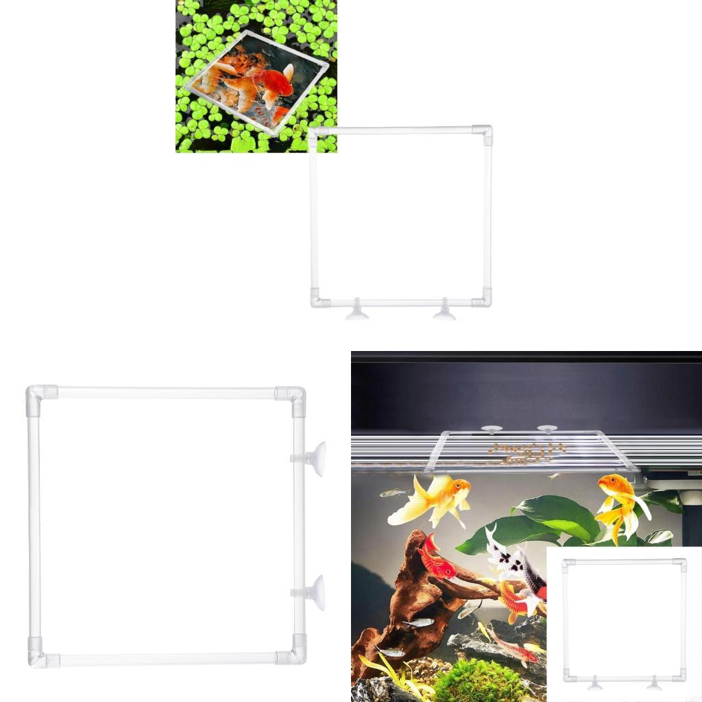 Aquarium Fish Food - L9BE Antidrift พิพิธภัณฑ์สัตว์น้ำเครื่องจ่ายอาหารอะคริลิค Feeding Corral แหวนให้อาหารพร้อมถ้วยดูดที่ปลอดภัยใช้งานง่าย