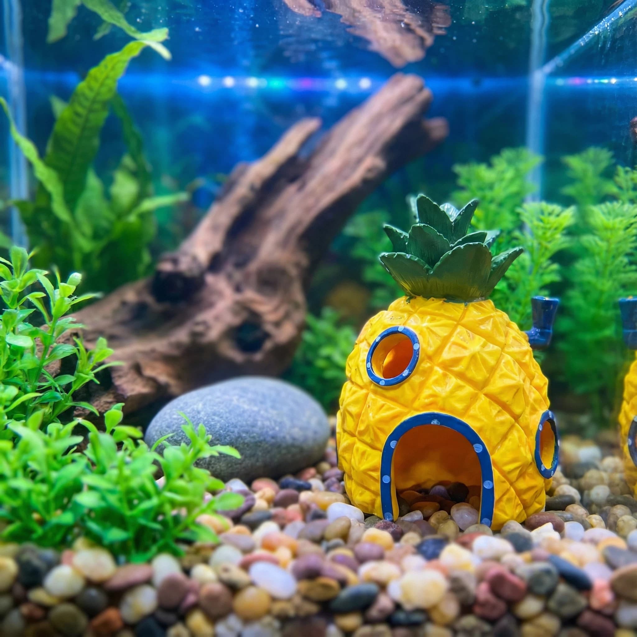 Aquarium Fish Hiding Places - ของตกแต่งตู้ปลาทรงบ้านสับปะรด， ถ้ำซ่อนตัวทำจากเรซินรักษ์โลกสำหรับกุ้งเบต้า， ของประดับตู้ปลาขอบเรียบ 4.52 นิ้ว