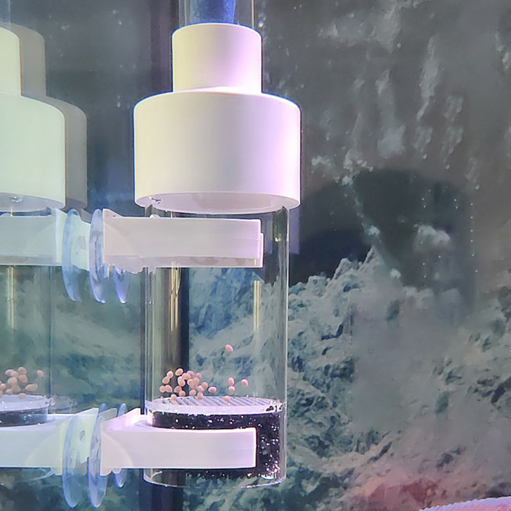 40mm Tumbler Incubator ปลา Hat - Aquarium Fish Eggs บทวิจารณ์และราคา