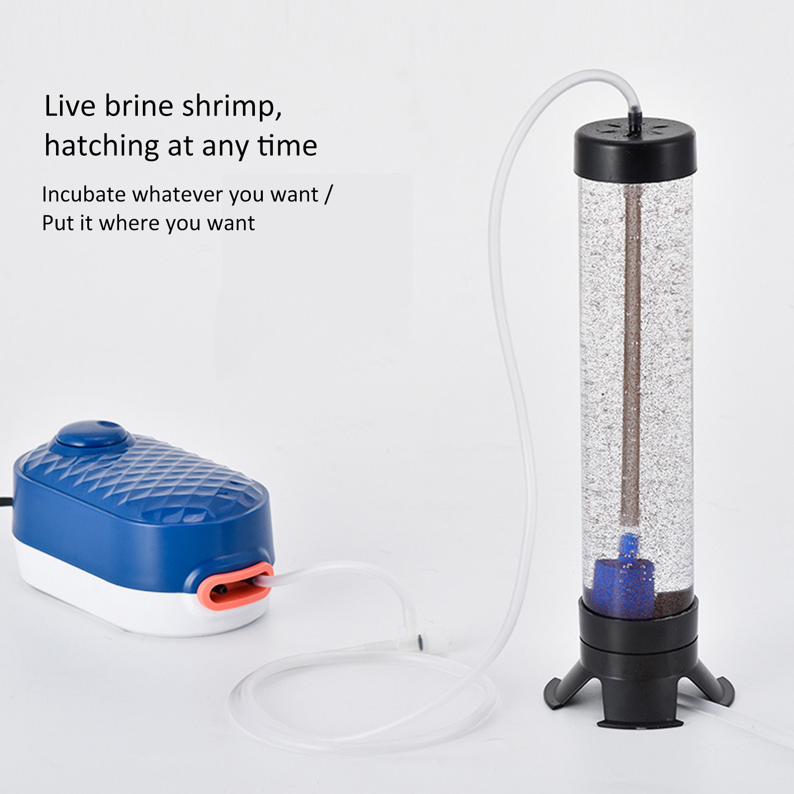 ปลา Hatch เครื่องมือ Artemia ไ - Aquarium Fish Eggs บทวิจารณ์และราคา