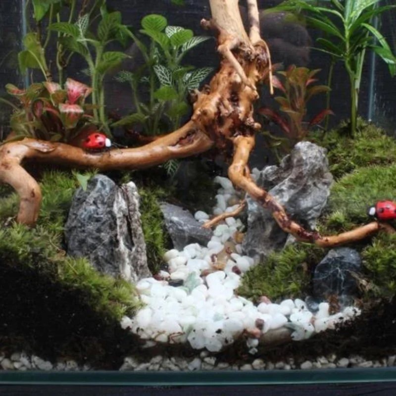 ต้นไม้ธรรมชาติลำต้นไม้ดริฟท์วู - Aquarium Fish Hiding Places บทวิจารณ์และราคา