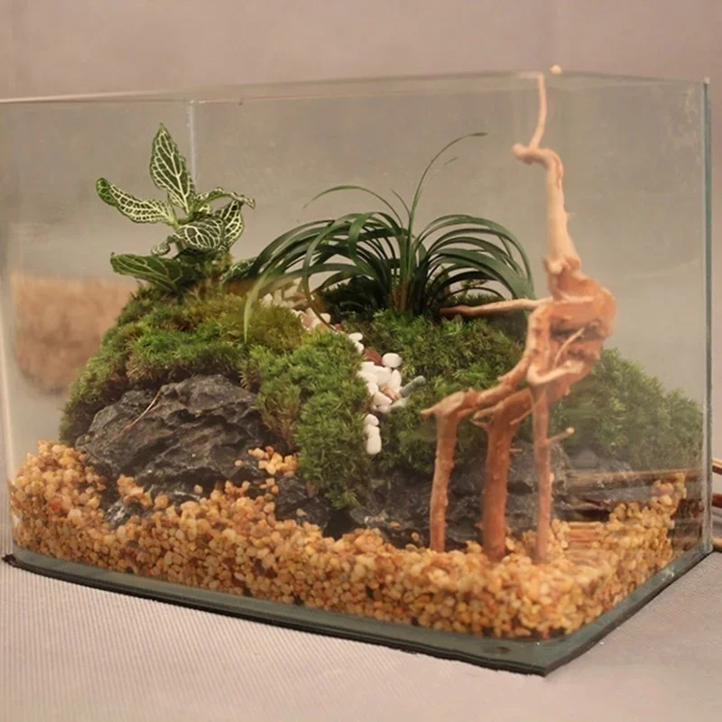 ต้นไม้ธรรมชาติลำต้นไม้ดริฟท์วู - Aquarium Fish Hiding Places บทวิจารณ์และราคา