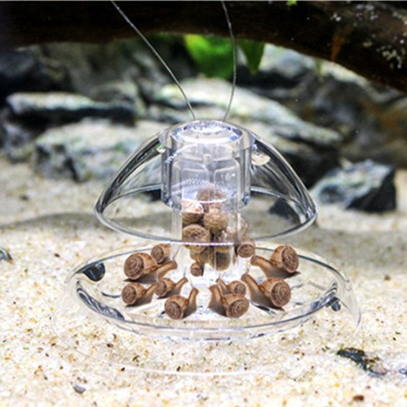 1PCS Fish TANK Aquarium CLEANE - Aquarium Fish Eggs บทวิจารณ์และราคา