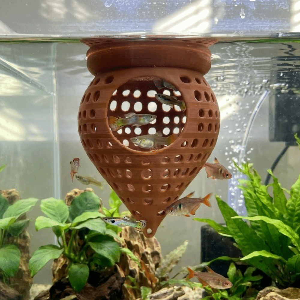 ที่นอนปลาแบบลอยน้ำพิมพ์ 3 มิติ - Aquarium Fish Food บทวิจารณ์และราคา