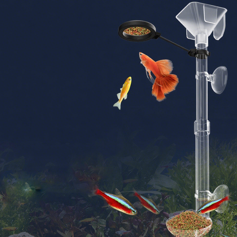 อะคริลิค Aquarium Fish Feeder  - Aquarium Fish Eggs บทวิจารณ์และราคา