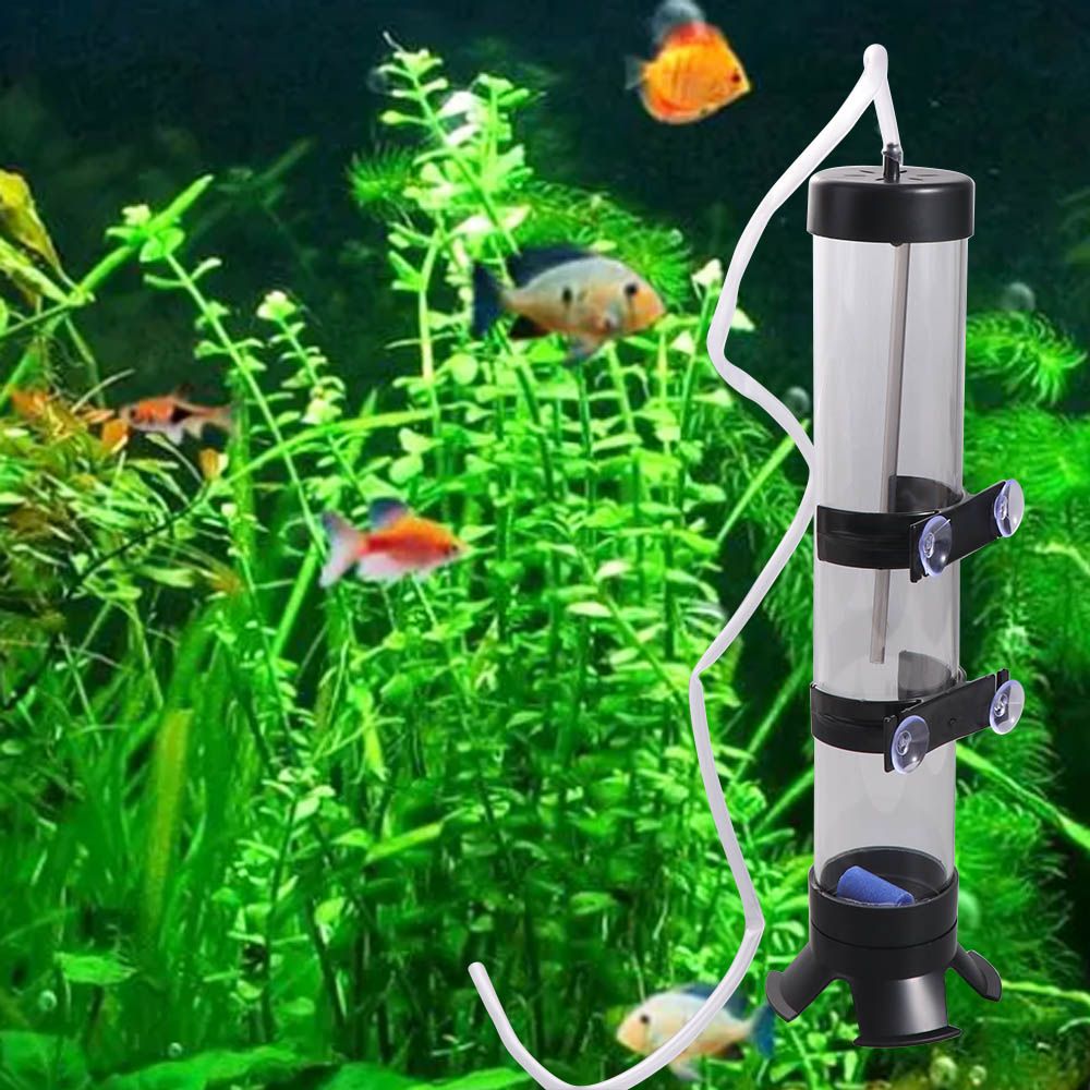ตู้ฟักไข่อาร์ทีเมียพลาสติกแบบถ - Aquarium Fish Eggs บทวิจารณ์และราคา