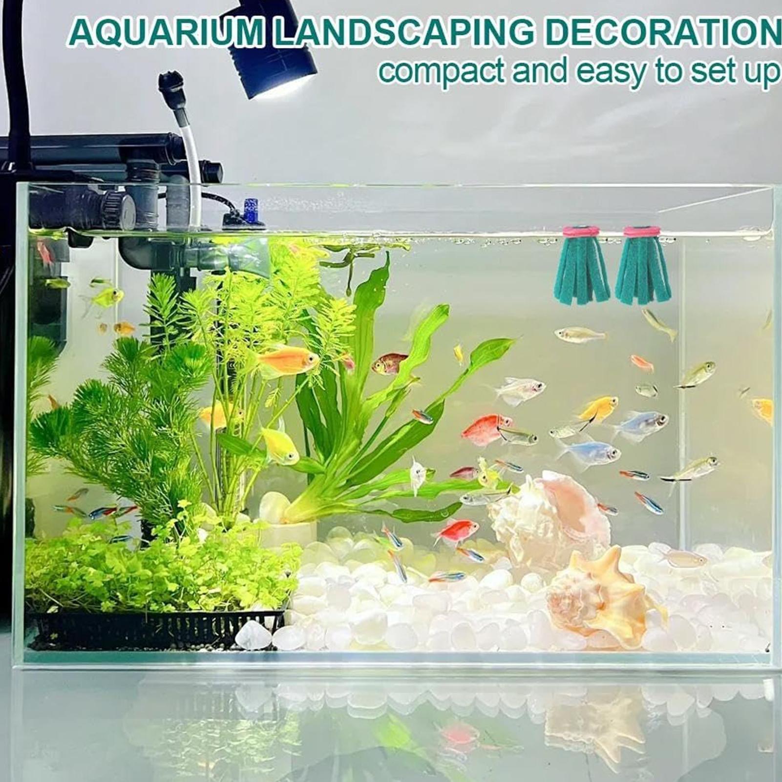 ที่เก็บไข่ปลาเบต้าแบบลอยน้ำ 10 - Aquarium Fish Food บทวิจารณ์และราคา