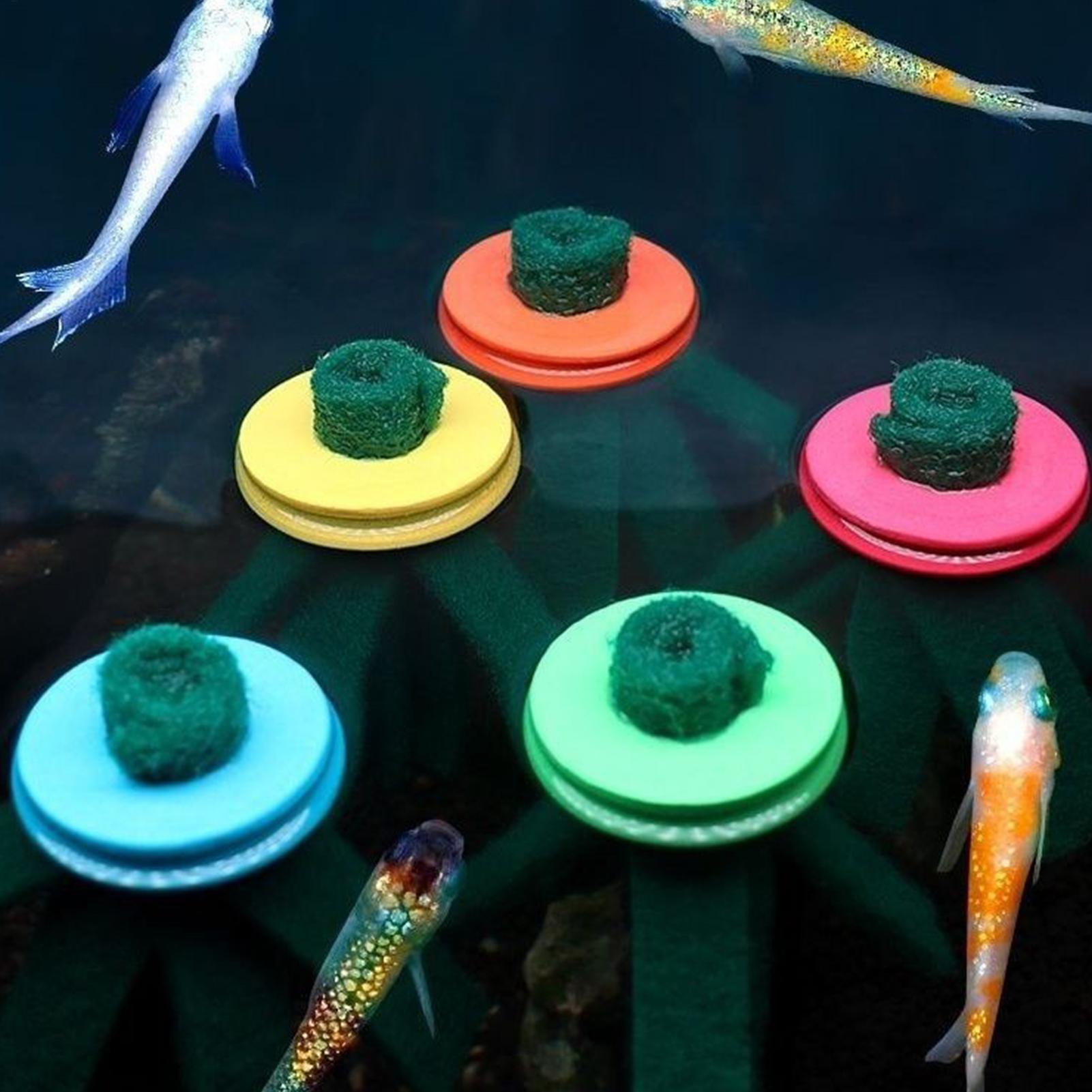 ที่เก็บไข่ปลาเบต้าแบบลอยน้ำ 10 - Aquarium Fish Food บทวิจารณ์และราคา