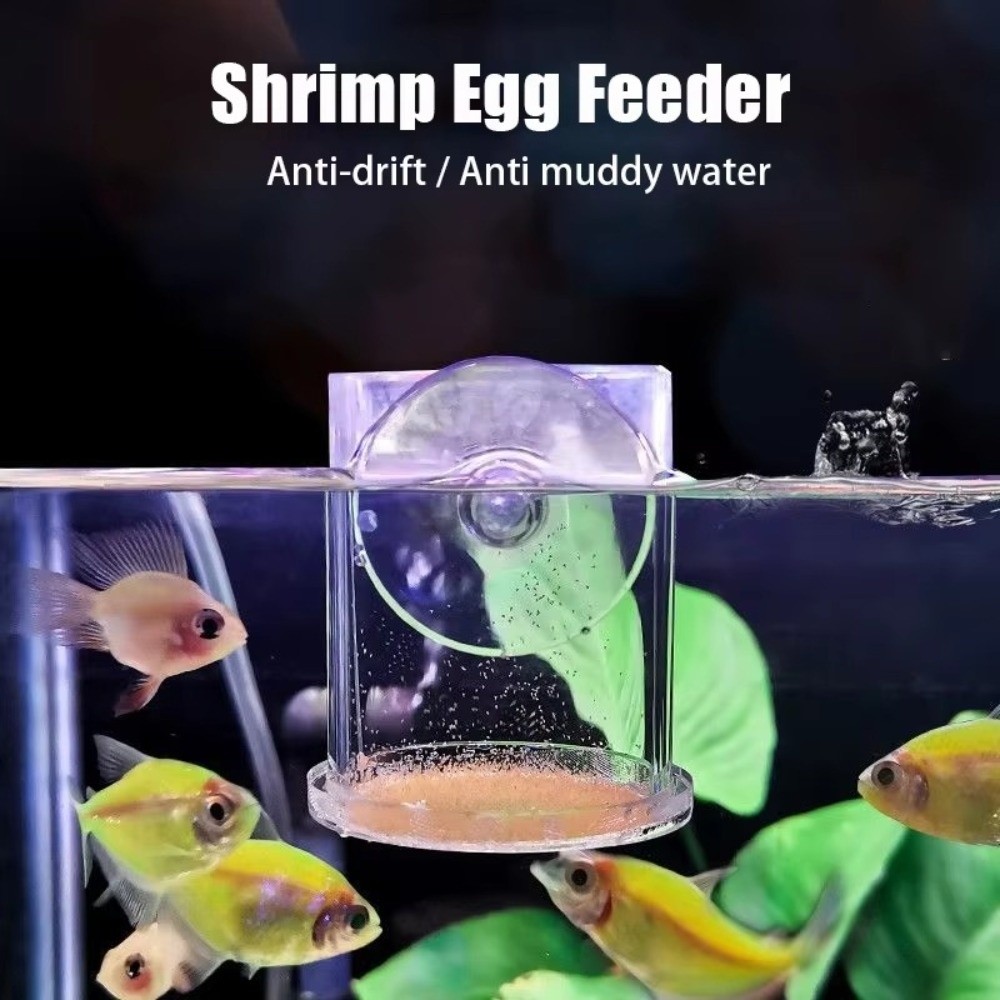 ถ้วยให้อาหารกุ้งน้ำเค็มอะคริลิ - Aquarium Fish Eggs บทวิจารณ์และราคา