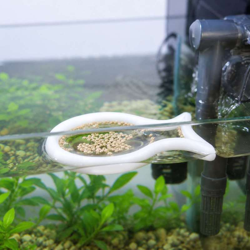 วงแหวนให้อาหารปลาแบบลอยน้ำรูปท - Aquarium Fish Food บทวิจารณ์และราคา