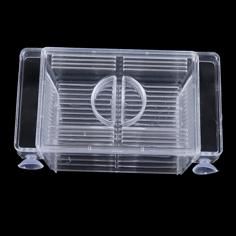 พิพิธภัณฑ์สัตว์น้ํา ตู้ปลา Gup - Aquarium Fish Eggs บทวิจารณ์และราคา