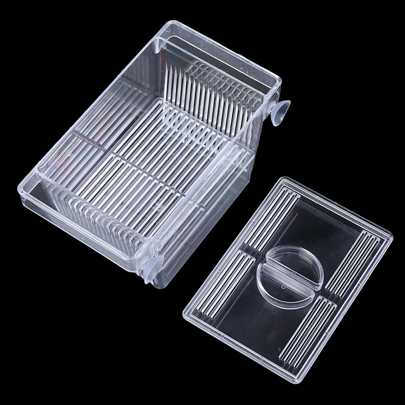 พิพิธภัณฑ์สัตว์น้ํา ตู้ปลา Gup - Aquarium Fish Eggs บทวิจารณ์และราคา