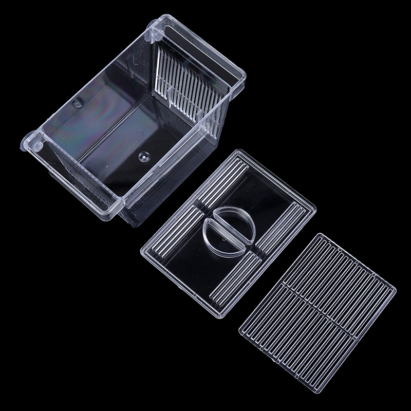 พิพิธภัณฑ์สัตว์น้ํา ตู้ปลา Gup - Aquarium Fish Eggs บทวิจารณ์และราคา