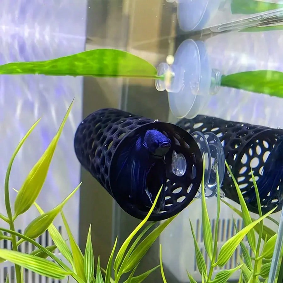 ที่หลบซ่อนปลาเบตต้า รูปทรงหลอด - Aquarium Fish Hiding Places บทวิจารณ์และราคา