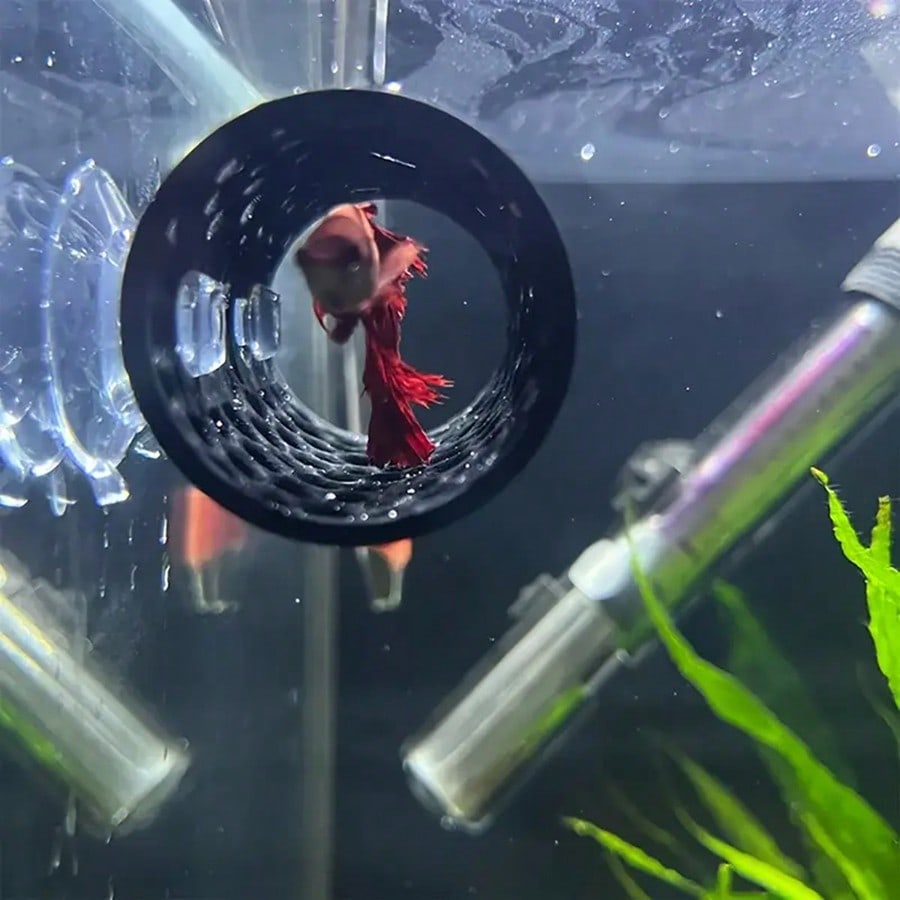 ที่หลบซ่อนปลาเบตต้า รูปทรงหลอด - Aquarium Fish Hiding Places บทวิจารณ์และราคา