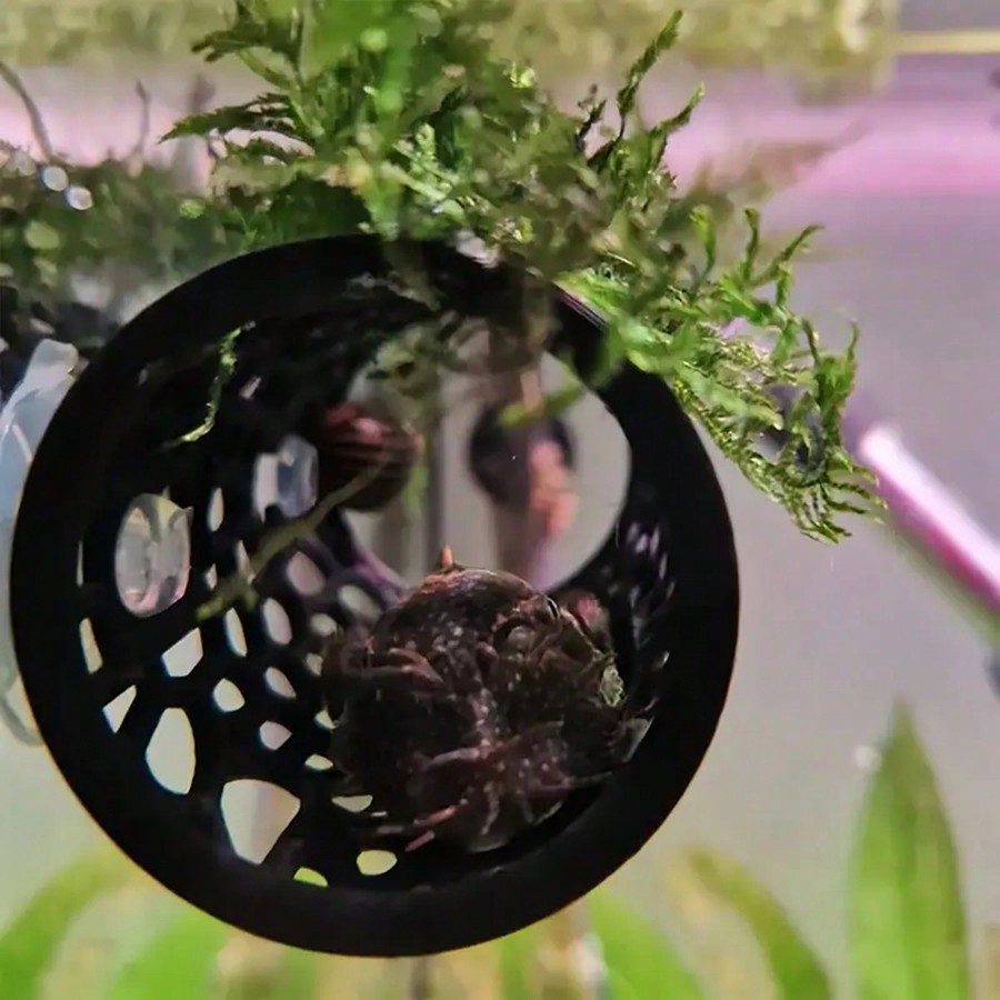 ที่หลบซ่อนปลาเบตต้า รูปทรงหลอด - Aquarium Fish Hiding Places บทวิจารณ์และราคา