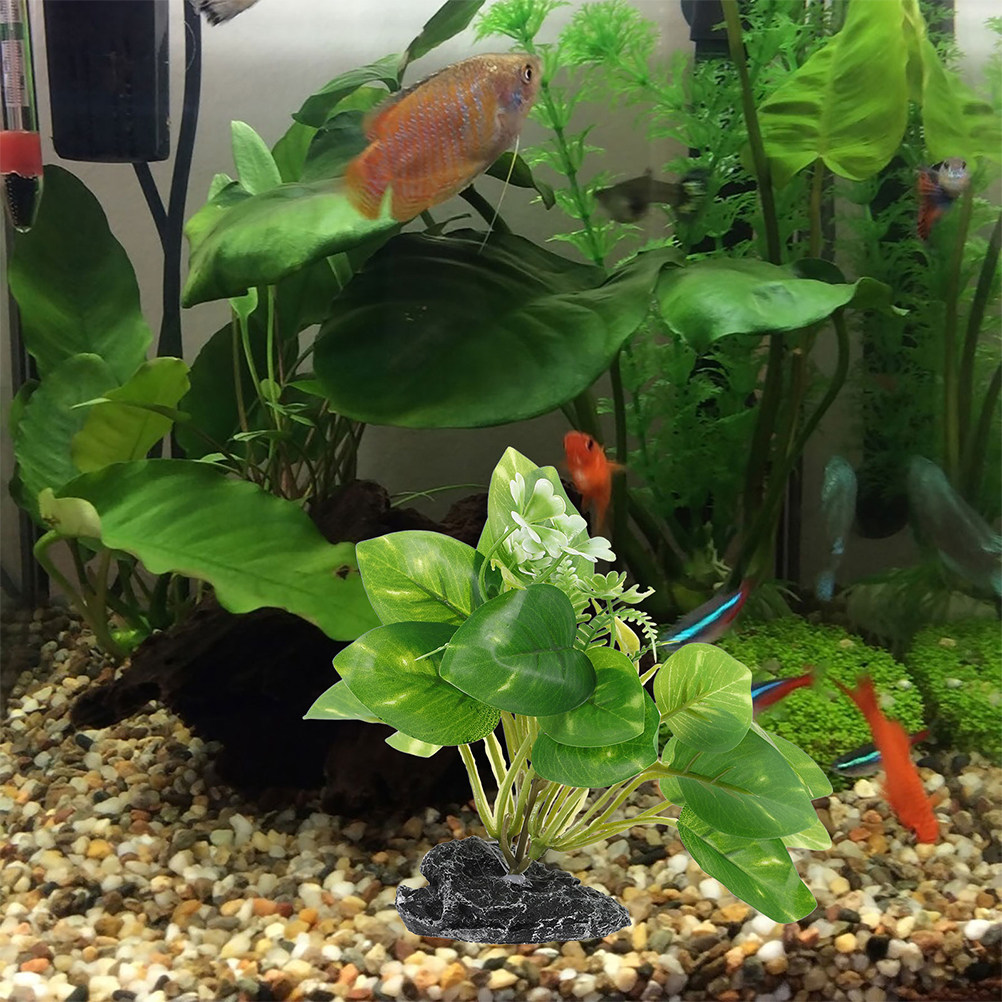 ต้นไม้ประดิษฐ์บอนไซ 2 ชิ้นสำหร - Aquarium Fish Low Maintenance บทวิจารณ์และราคา