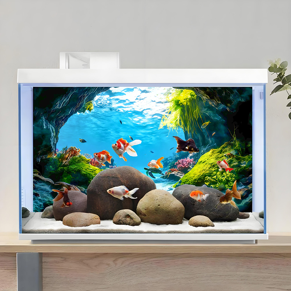 เทอร์เทิล เคฟ พาราไดซ์, ภาพวาด - Aquarium Fish Paradise บทวิจารณ์และราคา