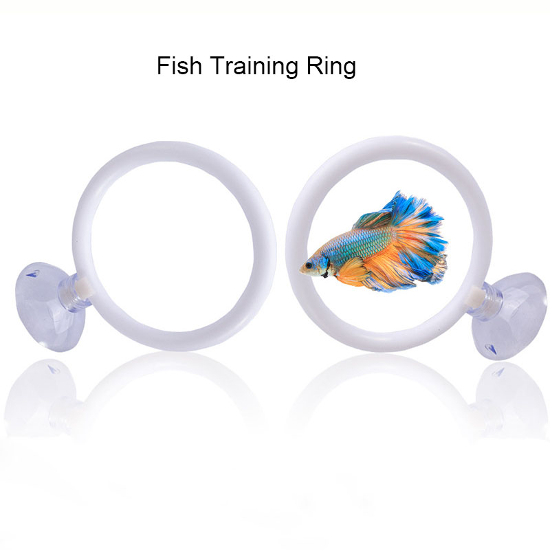 ชุดวงแหวนฝึกปลาเบต้า 1 ชิ้น ทำ - Fish Toys For Aquarium บทวิจารณ์และราคา