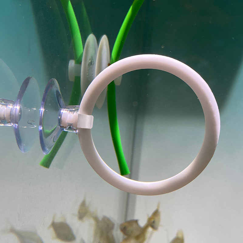 ชุดวงแหวนฝึกปลาเบต้า 1 ชิ้น ทำ - Fish Toys For Aquarium บทวิจารณ์และราคา