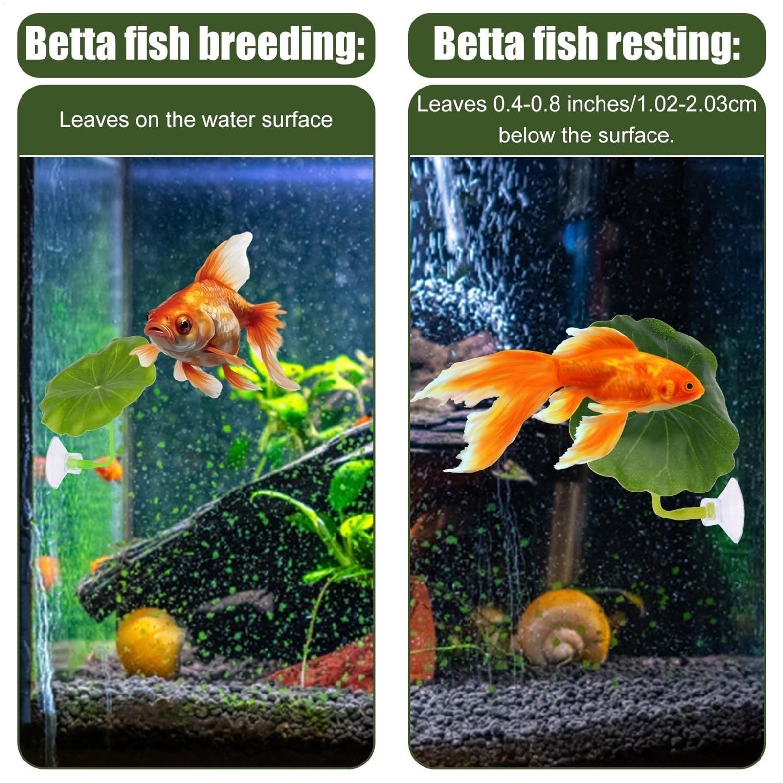 เปลใบไม้สำหรับปลาเบต้า 5 ชิ้น  - Fish Toys For Aquarium บทวิจารณ์และราคา