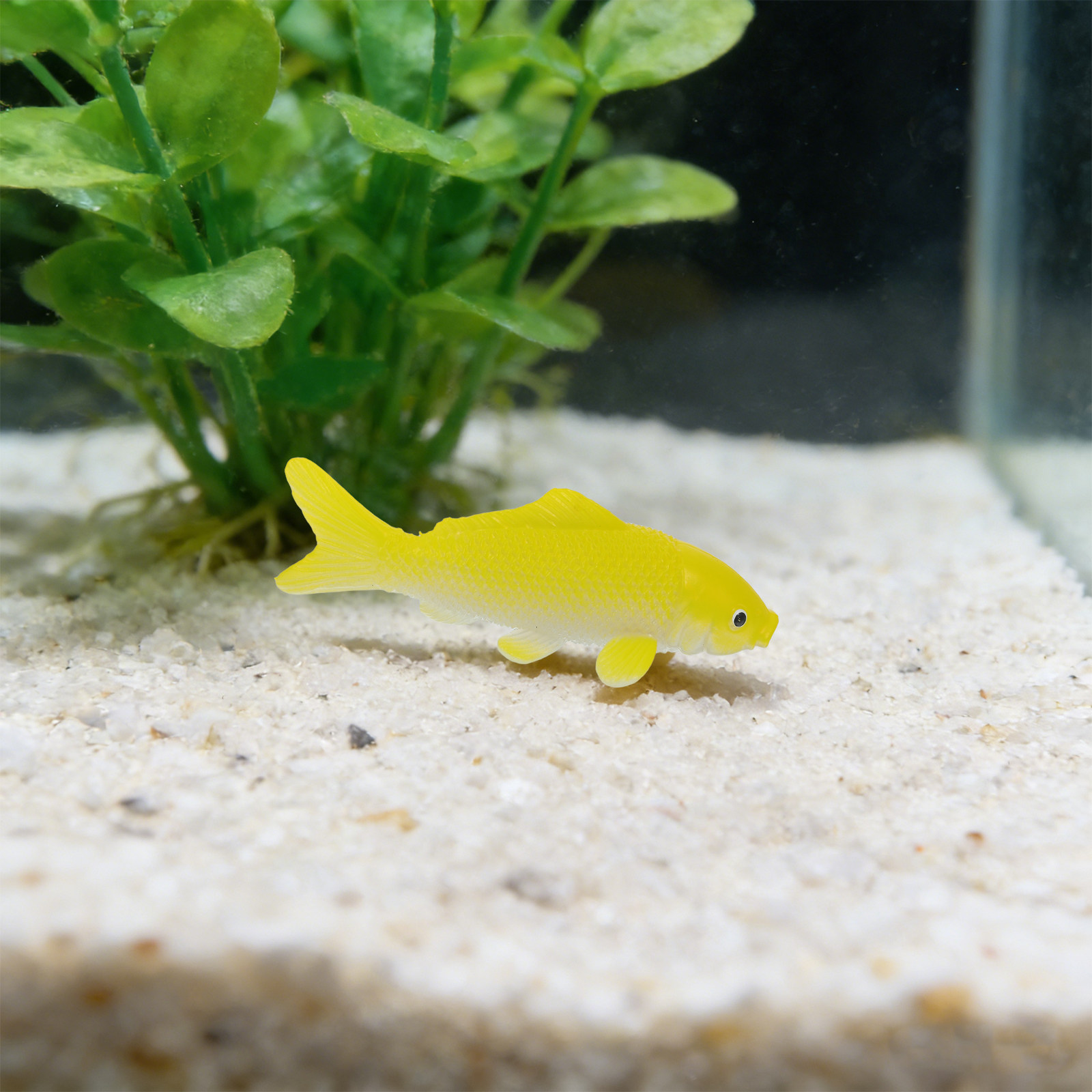 ของเล่นปลาประดิษฐ์ 3 ชิ้น รูปป - Fish Toys For Aquarium บทวิจารณ์และราคา