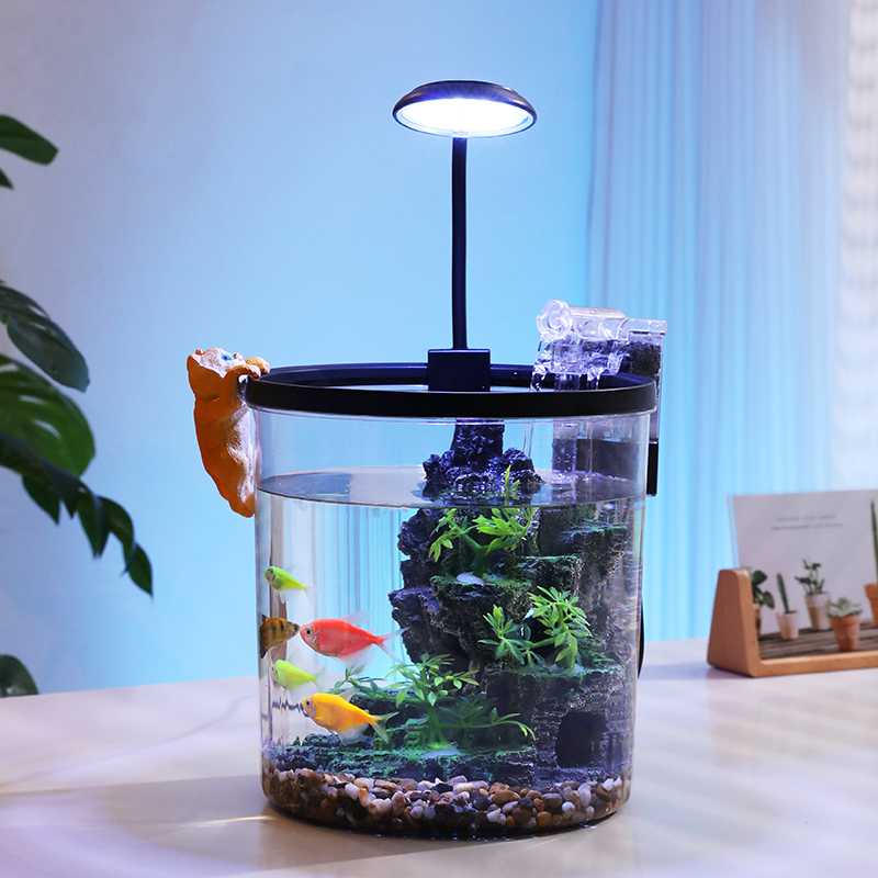 ตู้ปลาทรงกลมขนาดเล็กสีทอง - ระ - Aquarium Fish Low Maintenance บทวิจารณ์และราคา