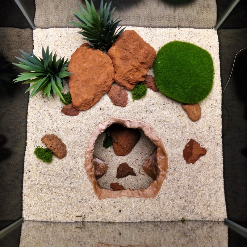 ของตกแต่งตู้ปลาแบบถ้ำหลุมบ่อ - - Aquarium Fish Hiding Places บทวิจารณ์และราคา