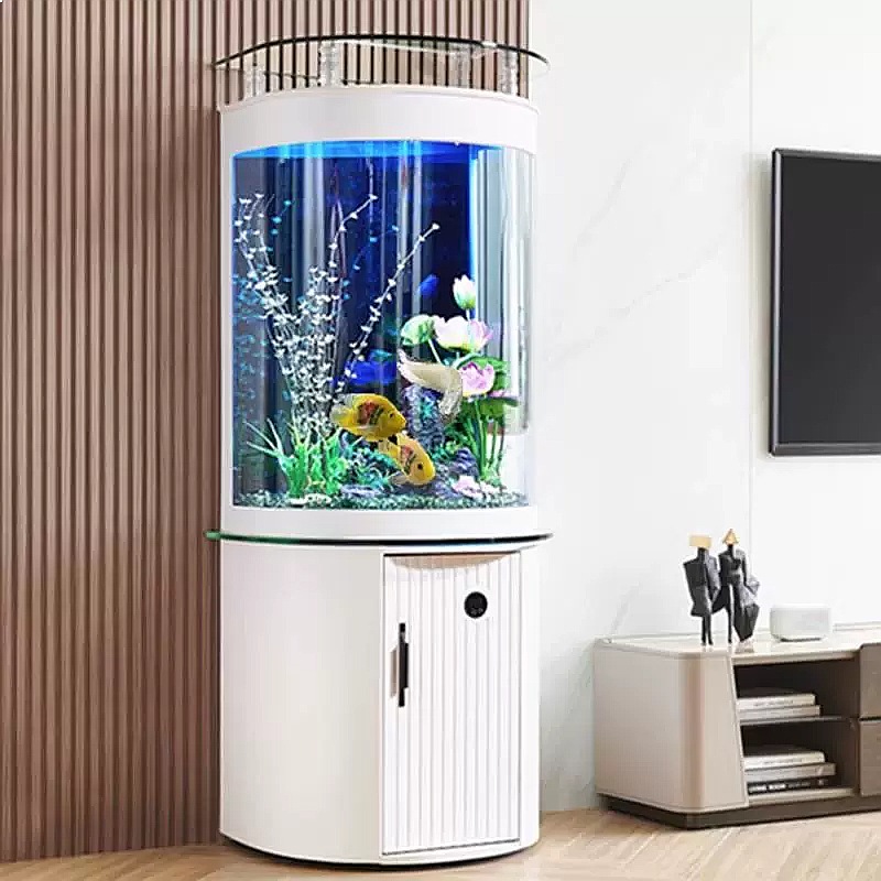 ตู้ปลาทรงครึ่งวงกลมพร้อมกรองด้ - Aquarium Fish Low Maintenance บทวิจารณ์และราคา