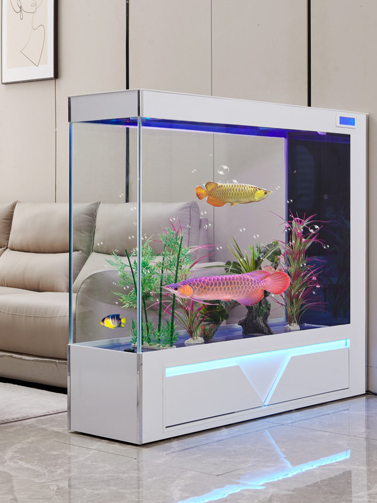 ตู้ปลาตั้งพื้นกระจกใสพิเศษ ระบ - Aquarium Fish Low Maintenance บทวิจารณ์และราคา
