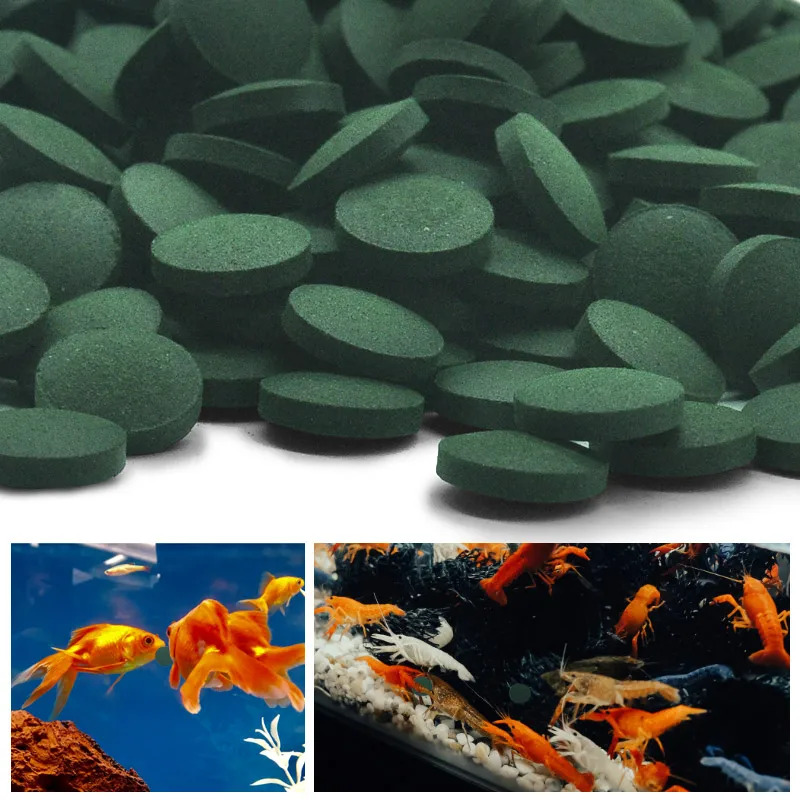 เม็ดสาหร่ายสไปรูลิน่าบริสุทธิ์ - Aquarium Fish Food บทวิจารณ์และราคา