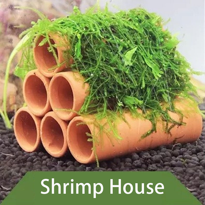 Clay Aquarium ตกแต่งปลากุ้งเล่ - Aquarium Fish Hiding Places บทวิจารณ์และราคา