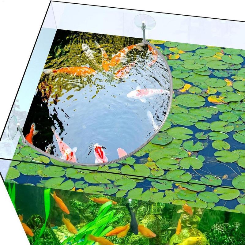 พืชลอย Corral Fish Feeding แหว - Aquarium Fish Food บทวิจารณ์และราคา