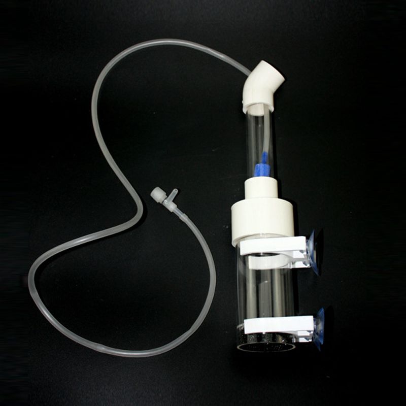 ตู้เพาะพันธุ์ปลาซิกลิดแบบปากดู - Aquarium Fish Eggs บทวิจารณ์และราคา