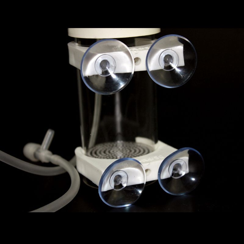 ตู้เพาะพันธุ์ปลาซิกลิดแบบปากดู - Aquarium Fish Eggs บทวิจารณ์และราคา