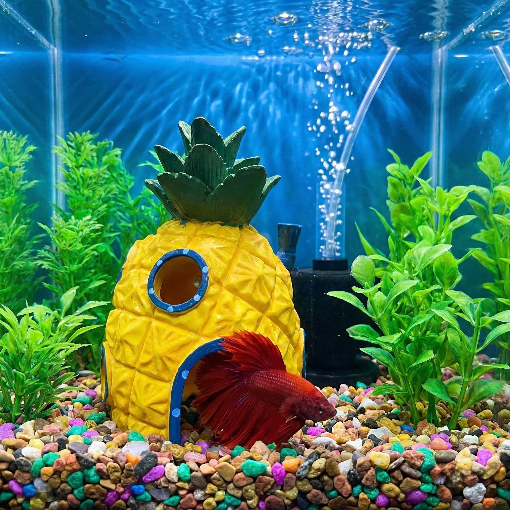 ของตกแต่งตู้ปลาทรงบ้านสับปะรด， - Aquarium Fish Hiding Places บทวิจารณ์และราคา