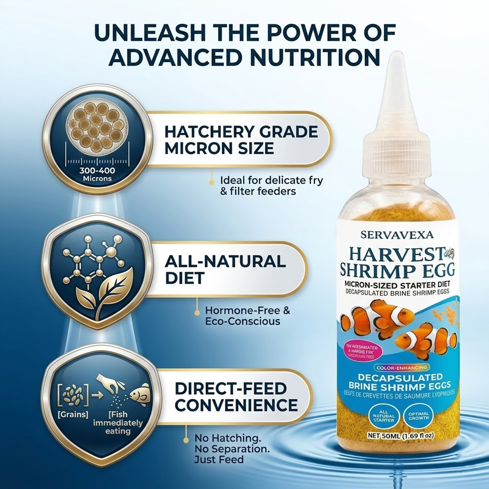 อาหารปลาโปรตีนสูงสำหรับปลากัด  - Aquarium Fish Eggs บทวิจารณ์และราคา