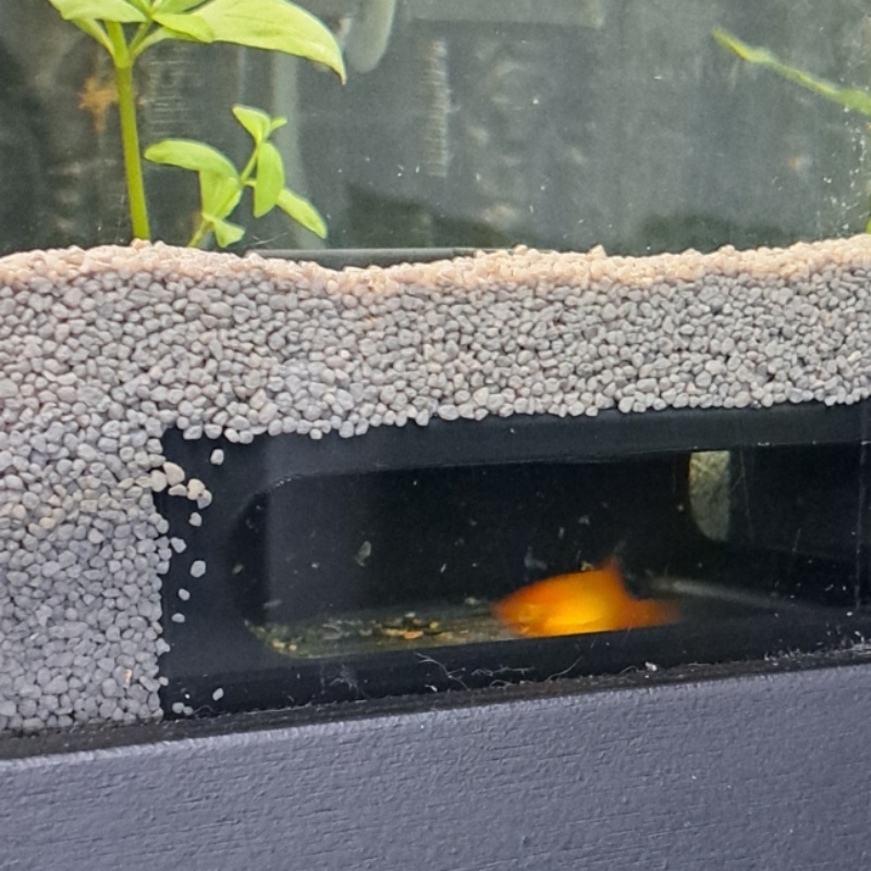 ตู้ปลาครึ่งวงกลม ตกแต่งมุมตู้ป - Aquarium Fish Paradise บทวิจารณ์และราคา