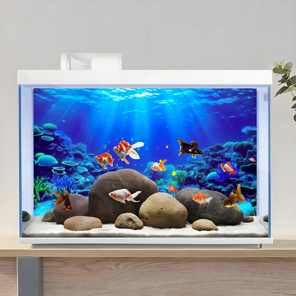 คอรัลพาราไดซ์, ภาพวาดพื้นหลังต - Aquarium Fish Paradise บทวิจารณ์และราคา