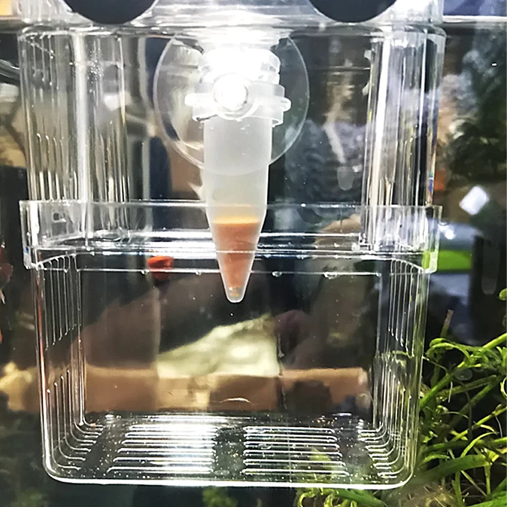 เครื่องให้อาหารปลาอัตโนมัติ รู - Aquarium Fish Eggs บทวิจารณ์และราคา