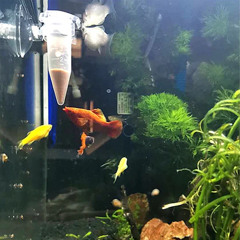 เครื่องให้อาหารปลาอัตโนมัติ รู - Aquarium Fish Eggs บทวิจารณ์และราคา